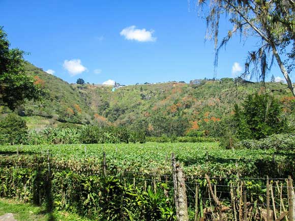 Enjoying a Simpler Life in Costa Rica’s “Hidden” Valley
