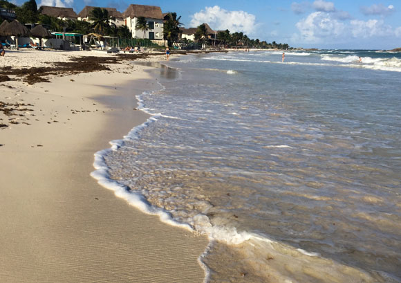 Riviera Maya: Profits Await Today on Mexico’s Caribbean Coast