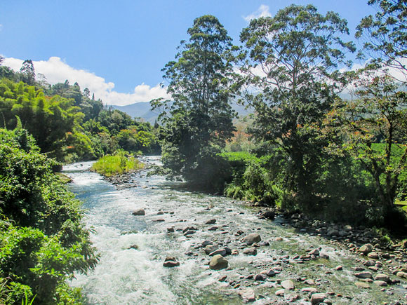 A Bargain Homestead in Costa Rica For $155,000