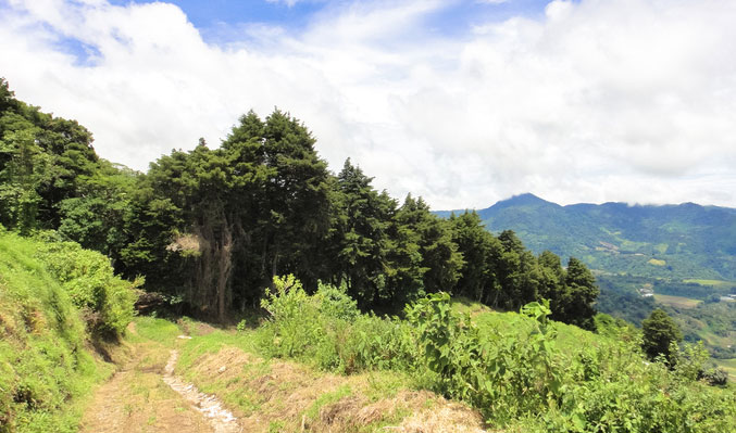 Volcán: Great Value Real Estate in the Chiriquí Highlands