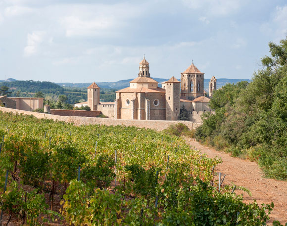 The Best Secret Wineries on Spain’s Costa Brava