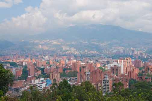 “Our Perfect Home in Dog-Friendly Medellin”