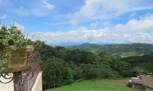 Healthy and Happy, Pet Sitting in Costa Rica