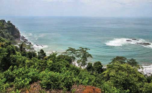 Good-Value Buys in Southern Costa Rica