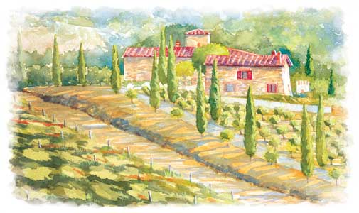 Homes in Wine Regions