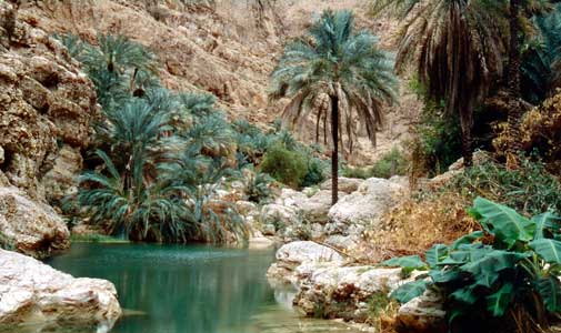 Arabian Nights and Desert Days: Exploring Oman