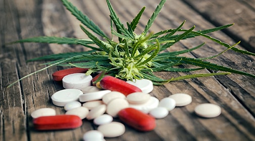 Understanding Medical Marijuana Laws Abroad