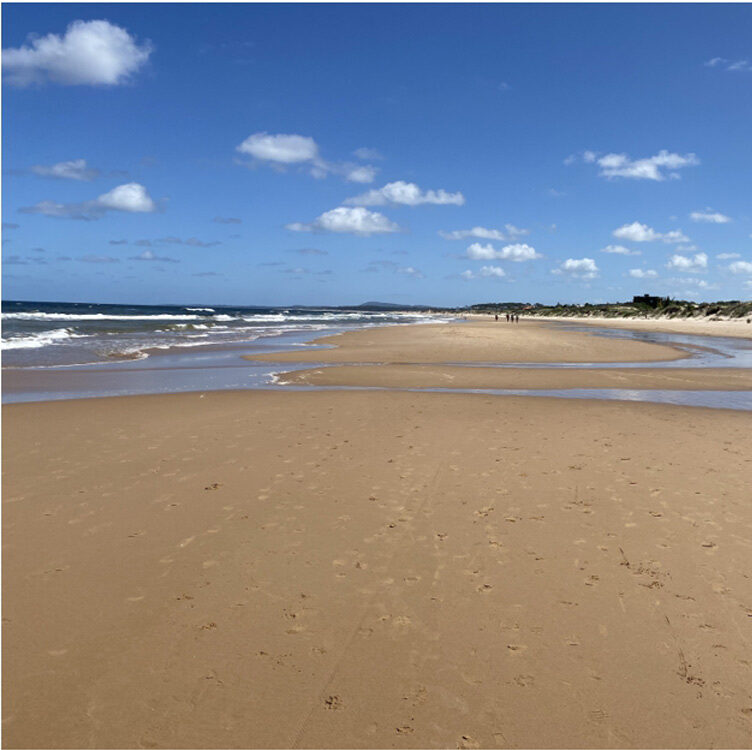 Flash Deal: Ocean-View Lots in Uruguay