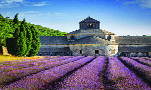 Lavender, Olives, and the Chanting Nuns of Provence