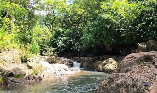 Video: Editor’s Travels—Tamanique Nature Park and Waterfalls