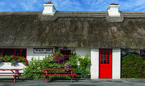 Make Money With Your Own Irish Pub