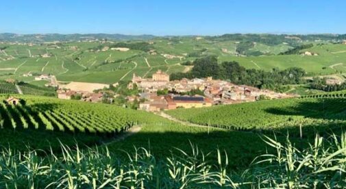 Video: From Napa to One of Italy’s Best Wine Regions